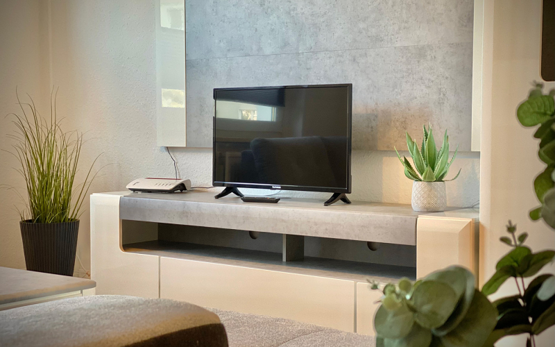 Medienwand mit Fernseher und Grünpflanzen, farblich harmonisch abgestimmt